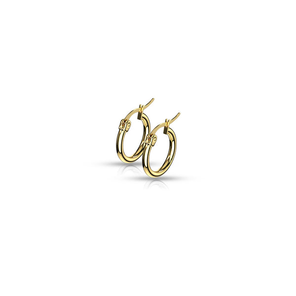 Pair of High Polish or Gold IP 316L Stainless Steel Round Hoop Earrings