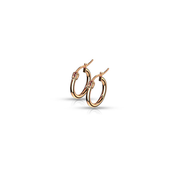 Pair of High Polish or Gold IP 316L Stainless Steel Round Hoop Earrings