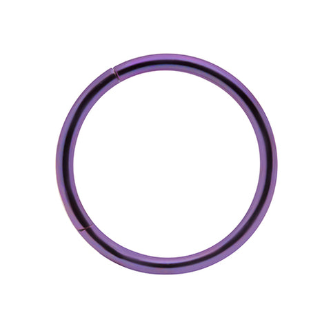 Surgical Steel Hinged Rings - 1.2mm Purple or Rainbow