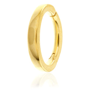 24k gold plated steel daith ring